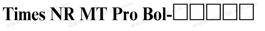 Times NR MT Pro Bol字体转换